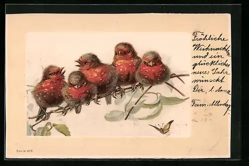 Künstler-AK Fünf Vogelküken auf einem Zweig