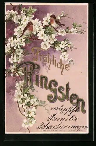 Präge-AK Rotkehlchen auf blühendem Obstbaum, Pfingsten