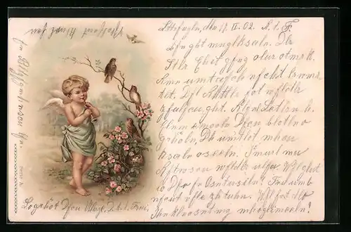 AK Engel spielt Flöte für Vögel