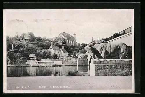 AK Halle a. S., Blick n. d. Gasthaus Bergschenke