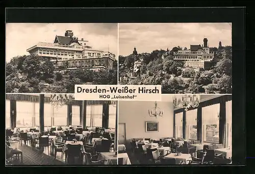 AK Dresden-Weisser Hirsch, Restaurant HOG Luisenhof, Innenansichten
