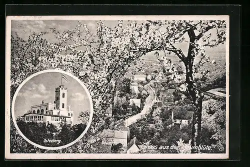 AK Cossebaude, Hotel Osterberg genannt Sächs. Wartburg, Teilansicht mit Strassenpartie und Baumblüte