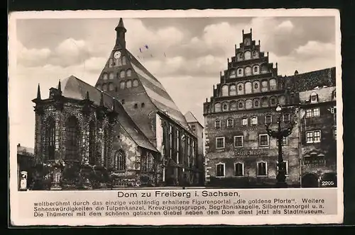 AK Freiberg /Sachsen, Dom und Stadt-Museum