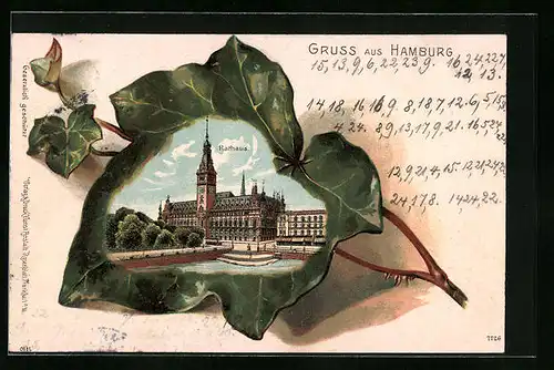 Passepartout-Lithographie Hamburg, Rathaus im Efeublatt