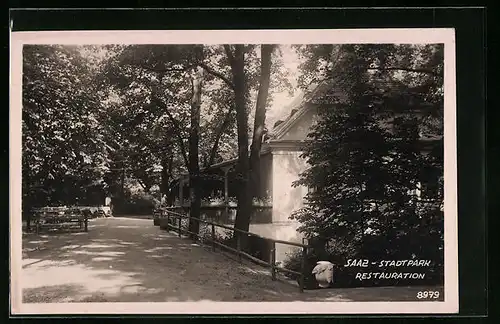 AK Saaz, Am Stadtpark-Restaurant