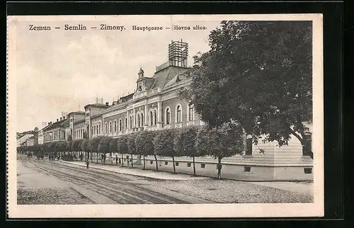 AK Semlin, Hauptgasse mit Bäumen