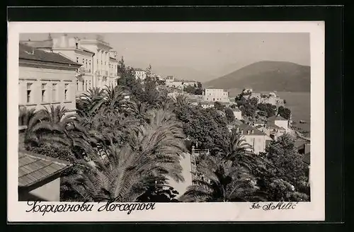 AK Herceg Novi, Panorama