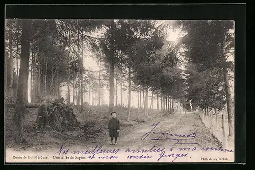 AK Bois-Jérome, Route de Bois-Jérome - Une Allee de Sapins