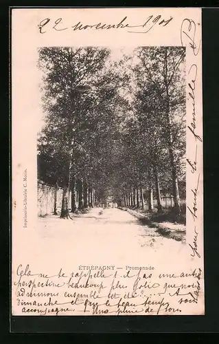 AK Étrépagny, Promenade