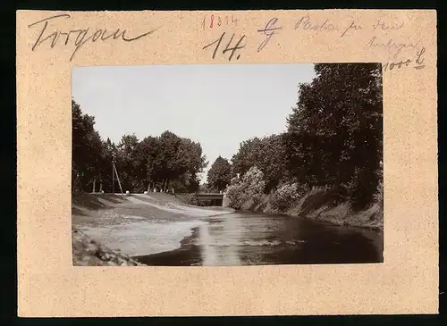 Fotografie Brück & Sohn Meissen, Ansicht Torgau, Flusslauf mit Brücke