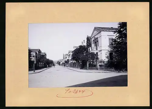 Fotografie Brück & Sohn Meissen, Ansicht Neustadt i. Sa., Villen in der Albertstrasse