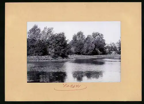 Fotografie Brück & Sohn Meissen, Ansicht Neustadt i. Sa., Partie in den Anlagen mit Teich