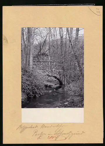 Fotografie Brück & Sohn Meissen, Ansicht Kötzenbroda-Niederlössnitz, Brücke im Lössnitzgrund