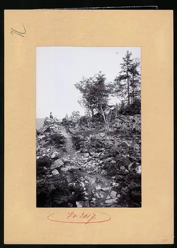 Fotografie Brück & Sohn Meissen, Ansicht Bärenfels, Partie auf dem Spitzberg