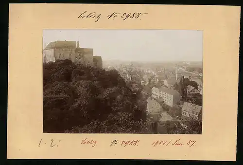 Fotografie Brück & Sohn Meissen, Ansicht Colditz, Schloss & Stadtansicht