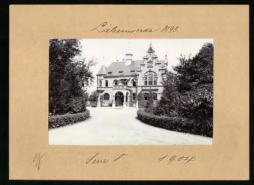 Fotografie Brück & Sohn Meissen, Ansicht Liebenwerda, Villa - Herrenhaus - Schloss