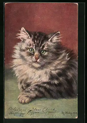 Künstler-AK Portrait einer getigerten Katze