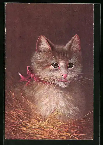 Künstler-AK Katze mit Halsschleife im Stroh