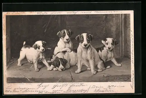 Künstler-AK Fünf Hundewelpen in einem Stall