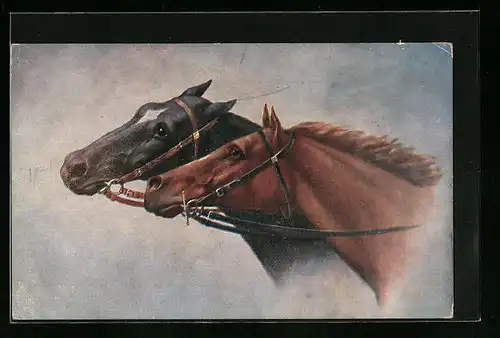 Künstler-AK Zwei Pferde mit Zaumzeug