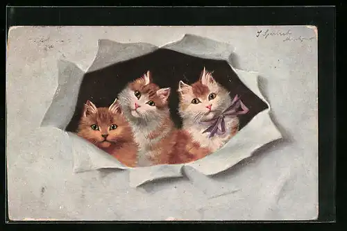 Künstler-AK Drei junge Katzen hinter Loch in Papierwand