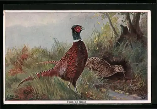 Künstler-AK Fasan mit Henne in Landschaft
