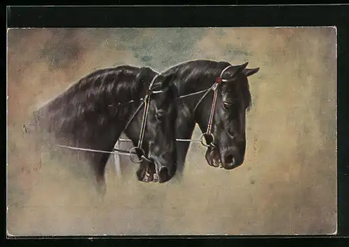 Künstler-AK Zwei angeschirrte schwarze Pferde