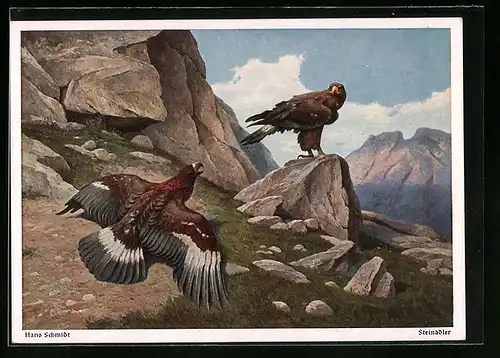 Künstler-AK Zwei Steinadler in den Bergen