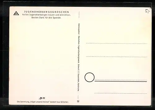 Künstler-AK Gartenrotschwanz (Vögel unserer Heimat)