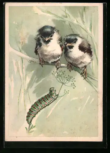 Künstler-AK Zwei kleine Spatzen beobachten eine Raupe