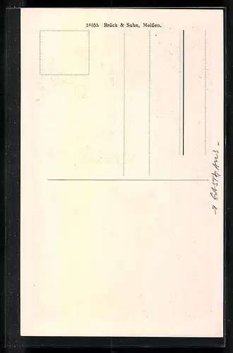 AK Meissen, Gasthaus Waldschlösschen aus der Vogelschau