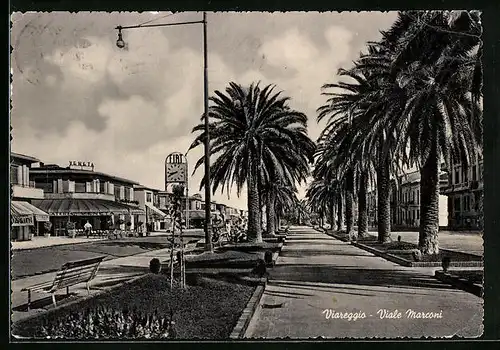 AK Viareggio, Viale Marconi