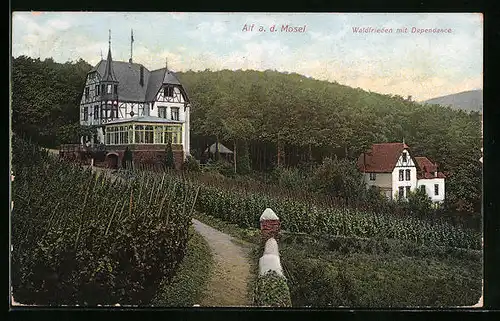 AK Alf /Mosel, Haus Waldfrieden mit Dependance