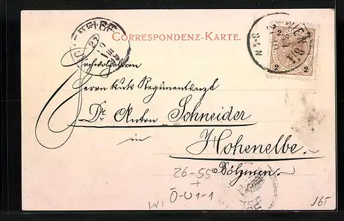 Künstler-AK F. Gareis: Wien, Beleuchtung in Alt- u. Neustadt, Rathaus