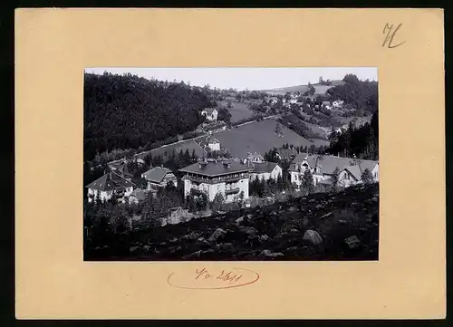Fotografie Brück & Sohn Meissen, Ansicht Kipsdorf, Ortsansicht mit Berg - und Tal