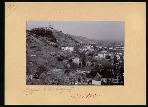 Fotografie Brück & Sohn Meissen, Ansicht Niederlössnitz, Gebäude am Hang mit Blick zur Friedensburg