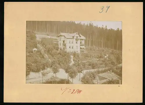 Fotografie Brück & Sohn Meissen, Ansicht Kipsdorf, Villa Haus Barthol