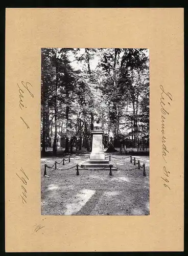 Fotografie Brück & Sohn Meissen, Ansicht Liebenwerda, Partei am Wäldchen mit dem Denkmal Friedrich-Wilhelm III.