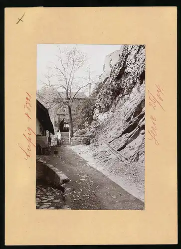 Fotografie Brück & Sohn Meissen, Ansicht Aussig, Partie am Schreckenstein
