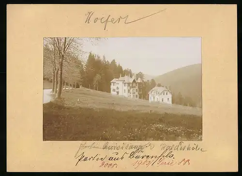 Fotografie Brück & Sohn Meissen, Ansicht Bärenfels im Erzg., Blick auf das Haus Quisisanna und Waldeshöhe