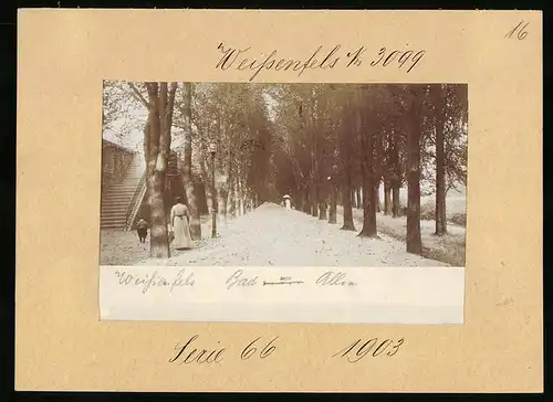 Fotografie Brück & Sohn Meissen, Ansicht Weissenfels, Blick in die Bad-Allee