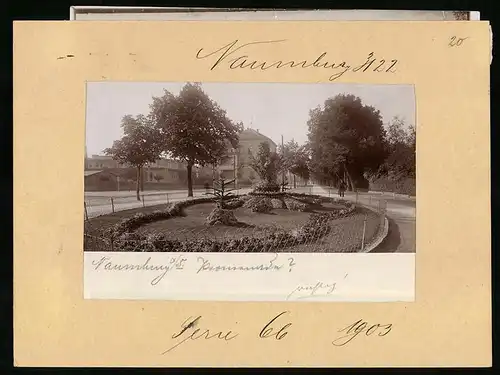 Fotografie Brück & Sohn Meissen, Ansicht Naumburg / Saale, Partie an der Promenade