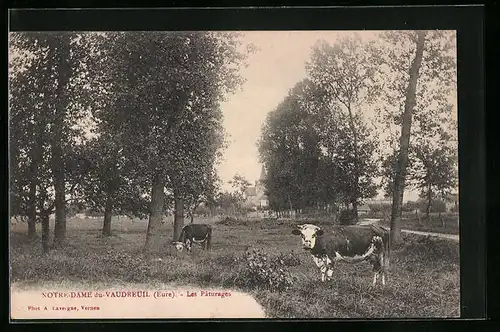 AK Notre-Dame-du-Vaudreuil, Les Paturages