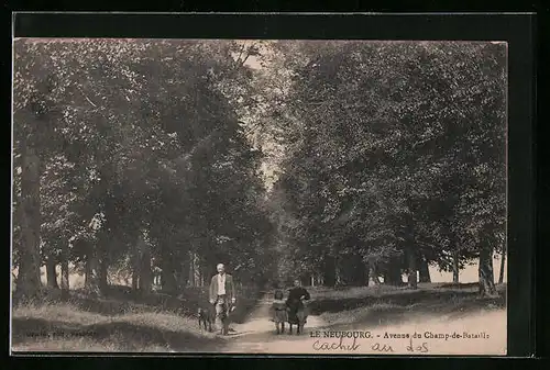 AK Le Neubourg, Avenue du Champ-de-Bataille