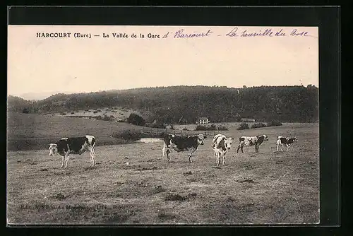 AK Harcourt, La Vallée de la Gare