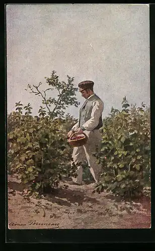 Künstler-AK Bauer bei der Beerenernte