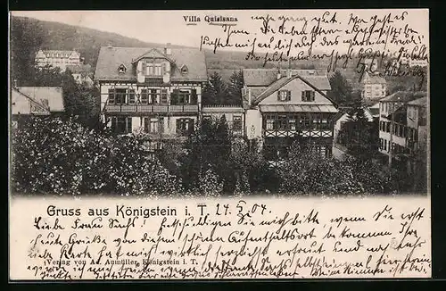 AK Königstein i. T., Villa Quisiana im Grünen