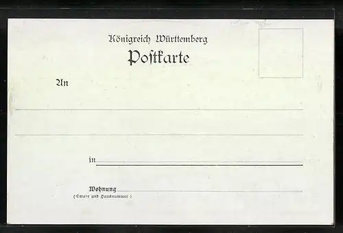 Lithographie Teinach-Zavelstein, Bad-Hotel, Ruine, Totalansicht