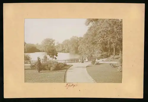 Fotografie Brück & Sohn Meissen, Ansicht Freiberg i. Sa., Partie am Kreuzteich mit Entenhäuschen