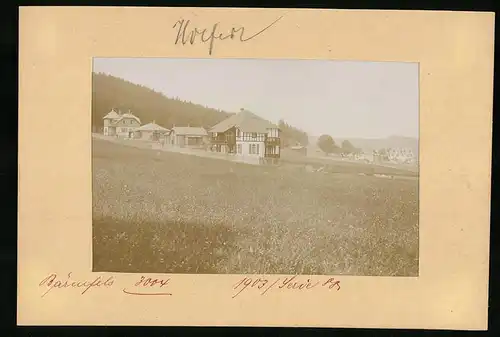 Fotografie Brück & Sohn Meissen, Ansicht Bärenfels, Blick auf die Villen Perrete udn Waldlust